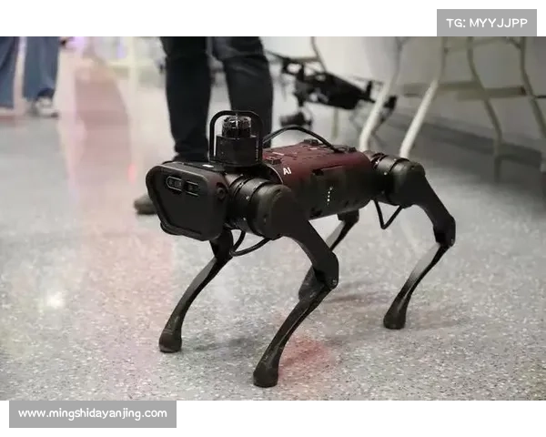 江苏新闻：机器狗助阵南鸟巢建设 3万人信号全程无忧