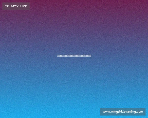 维塔尔创单场最多机会纪录助海港攻势全开对阵河南队表现抢眼